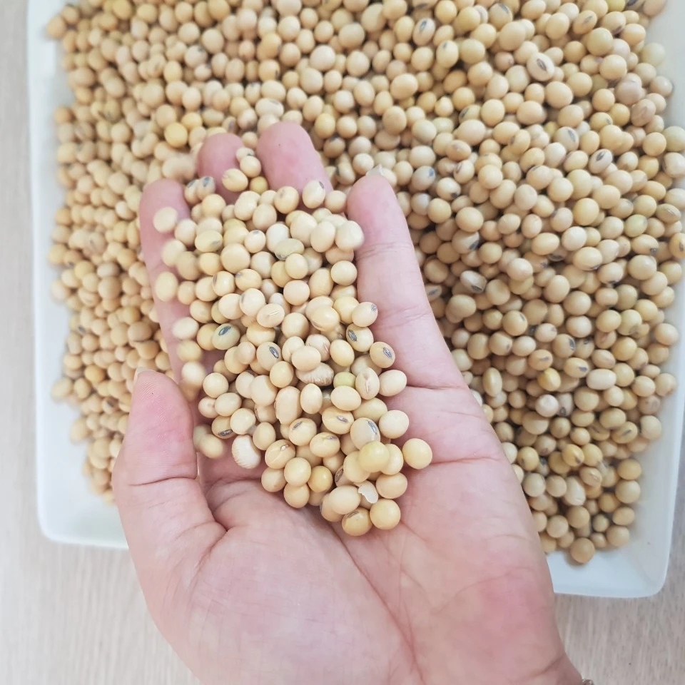 
Soybeans Good Quality Wholesale Natural Soya Beans 