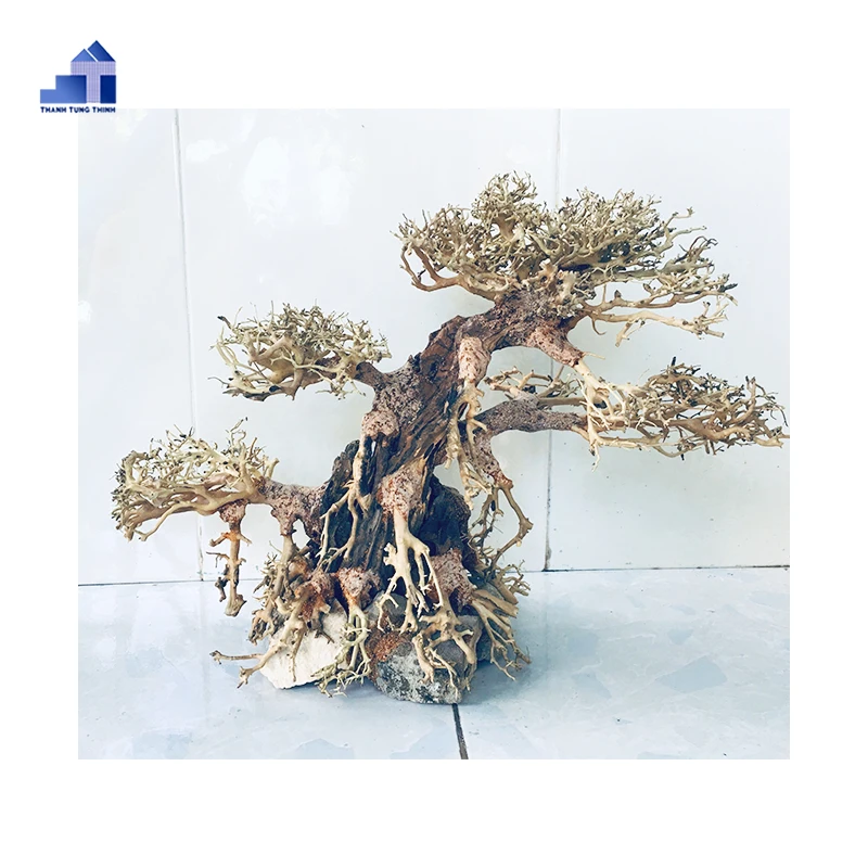 2024 Новинка высококачественные коряги бонсай для аквариума оптом WhatsApp + 84 961005832