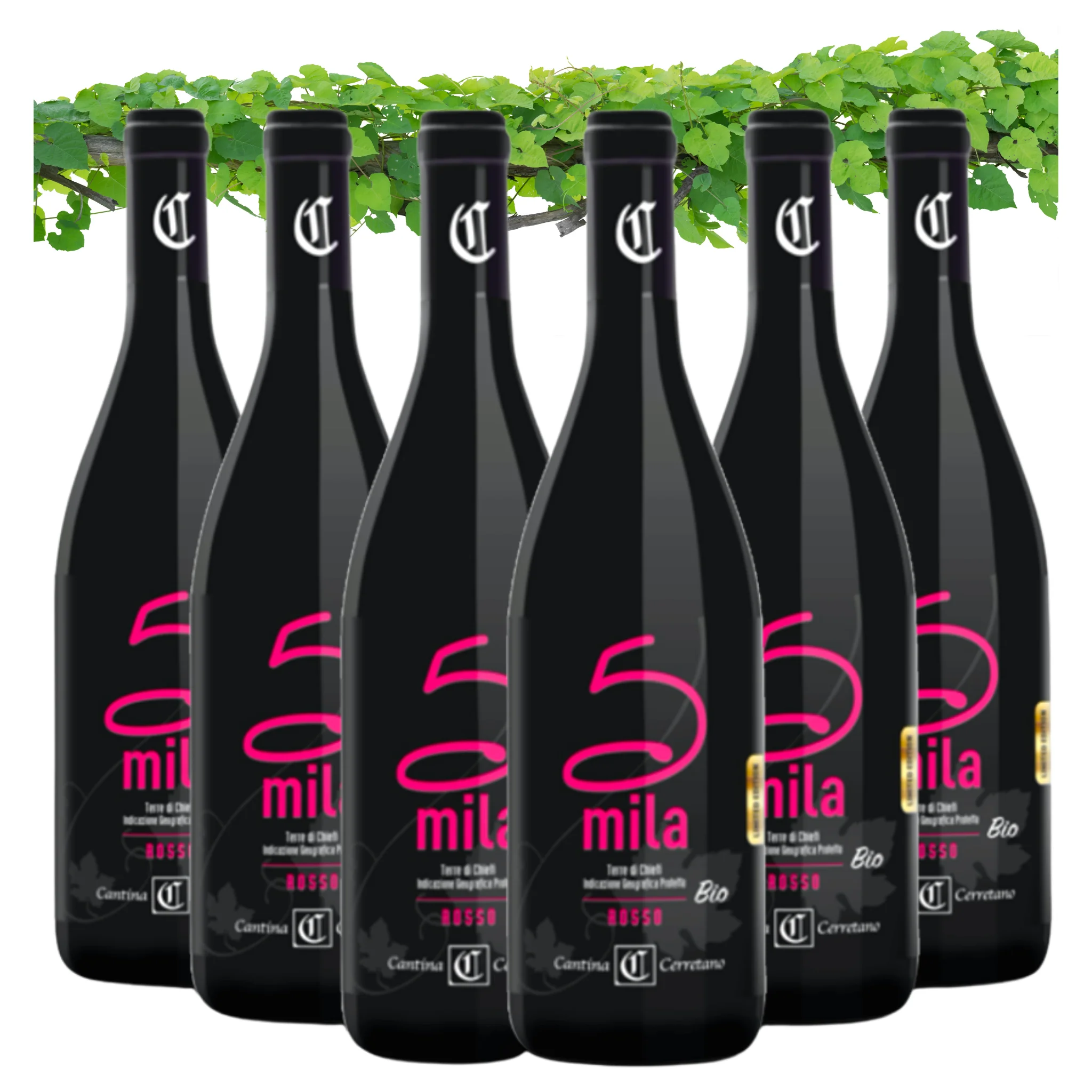 Dropship Italian Red Wine - Montepulciano Terre di Chieti Organic Vegan - Wine bottles 750 ml - Alcohol wine 14% for Sale