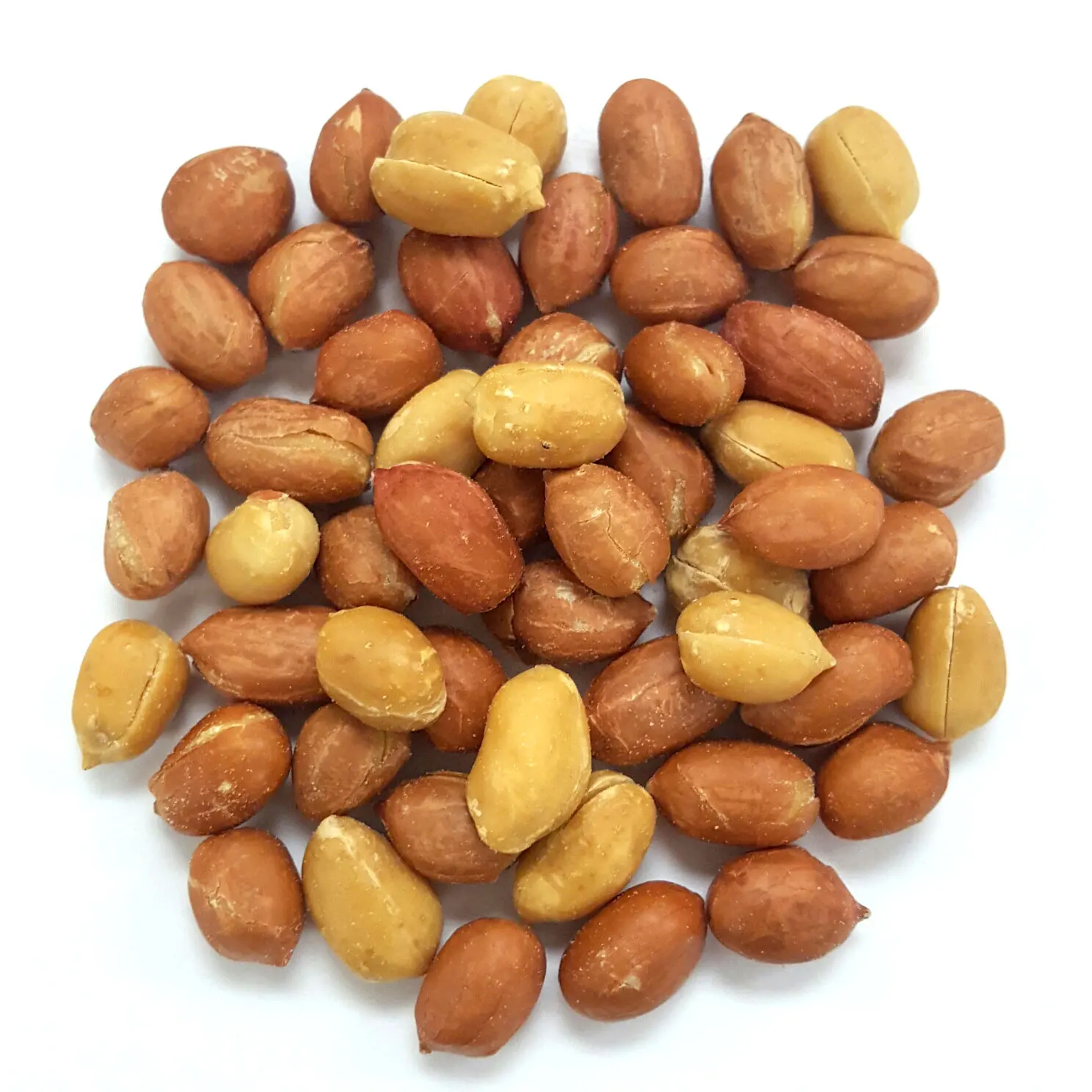 peanut supplier peanut in turkey roasted peeled peanuts