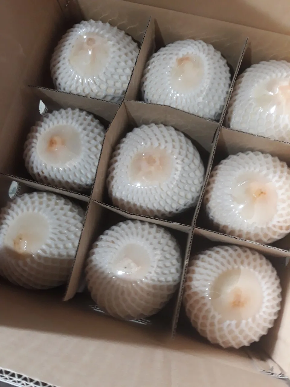 Top Quality Young Fresh Coconut Export Japan Korea Market From Viet Nam