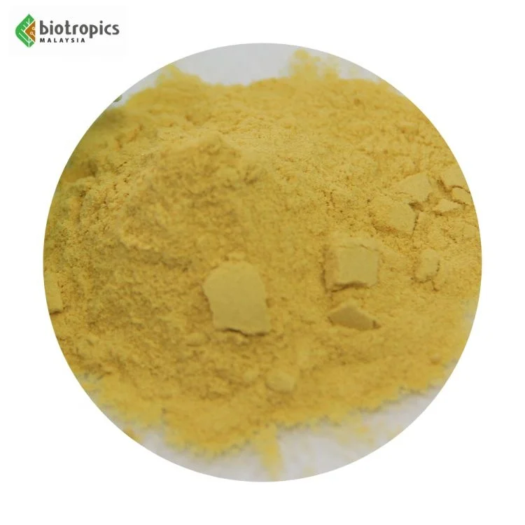 Science-Backed New Bulk Extract Tongkat Ali (Malaysian Ginseng) Root Powder Supplement Wild-Cultivated for Health & Wellness