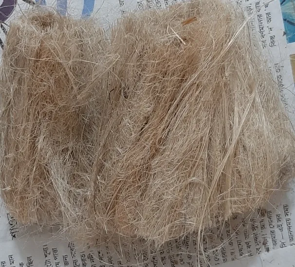 Wholesale Premium Quality Amd Competitive Price Processed Fiber Manufactured In Bangladesh
