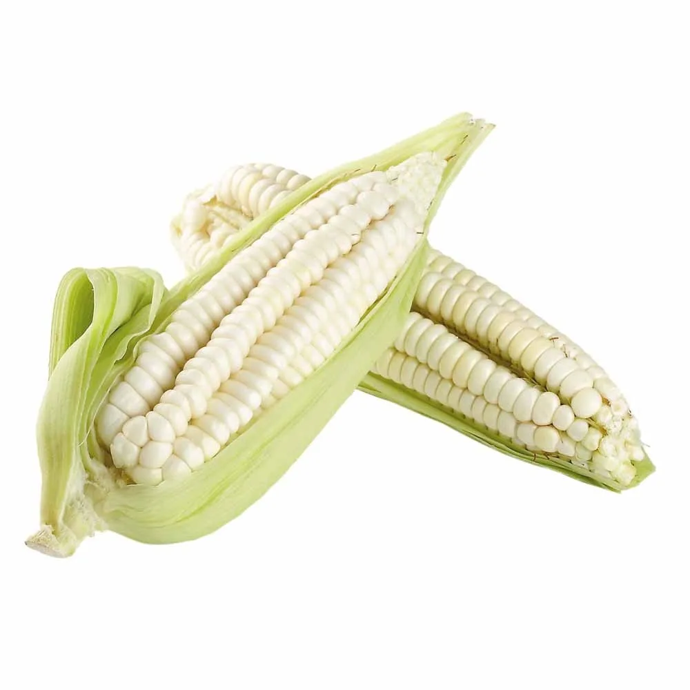 
White maize AVAILABLE AT LOW PRICE 
