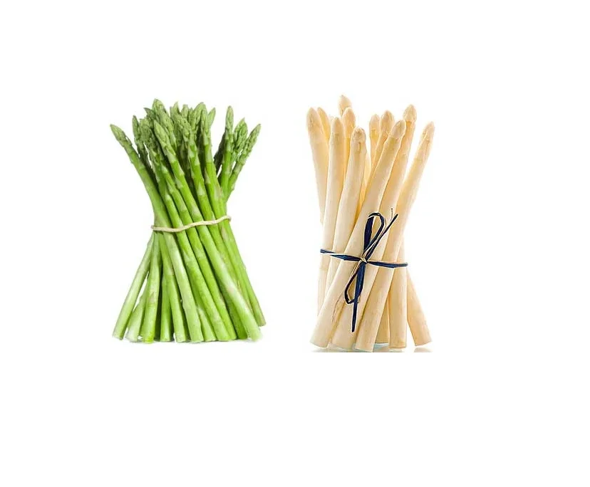 Fresh Asparagus Grade A OEM Available Customized Size Weight Package from Thailand Organic Premium Product s