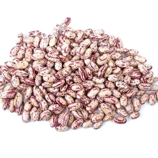 Dry Pinto Beans Or Light Speckled Kidney Beans Long Shape Or Round Ship Red Kidney Kenya Beans+/-+