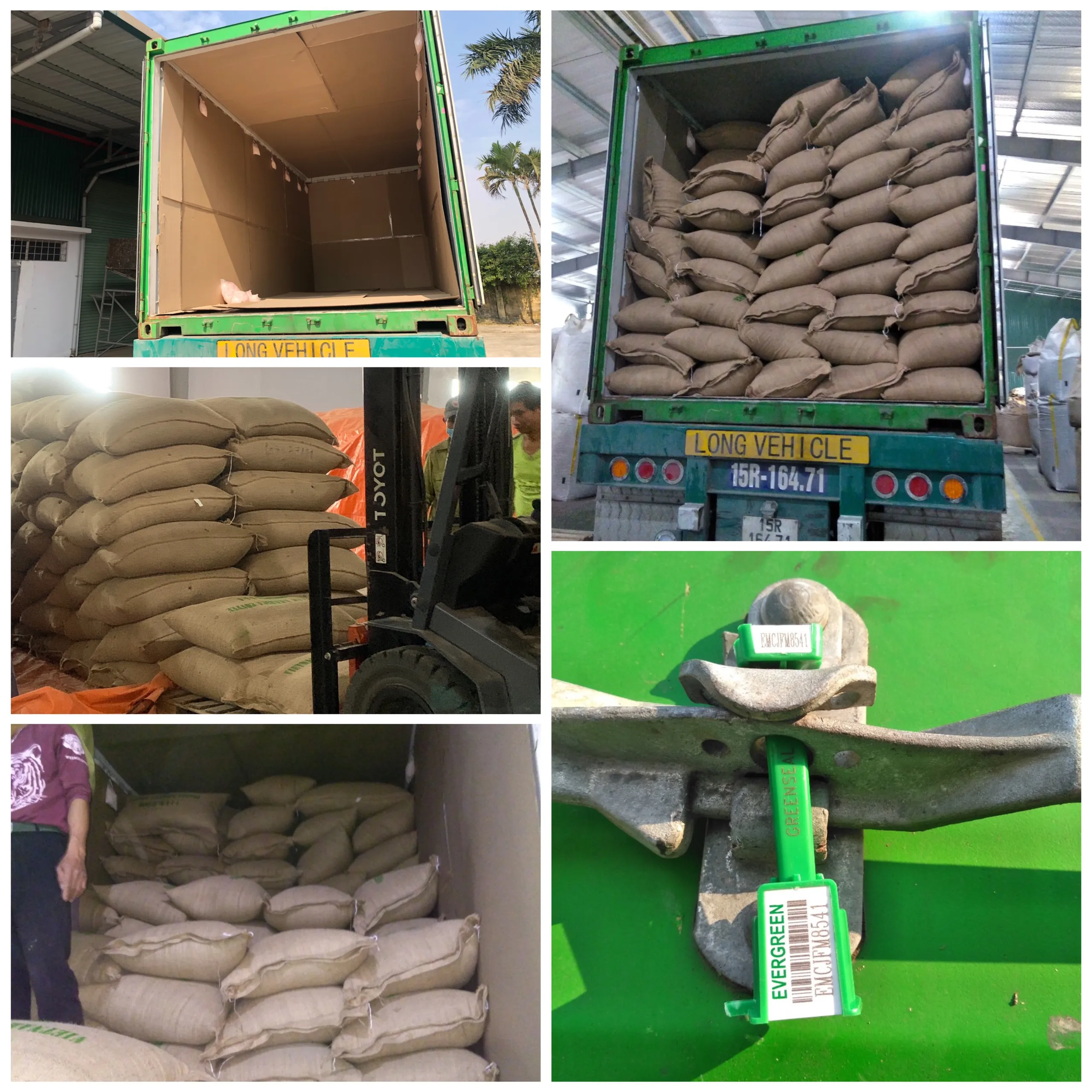 Кофе Арабика, высокое качество коммерческого Konnai, кофе из Вьетнама, Различные вкусы, продукт на заказ по запросу