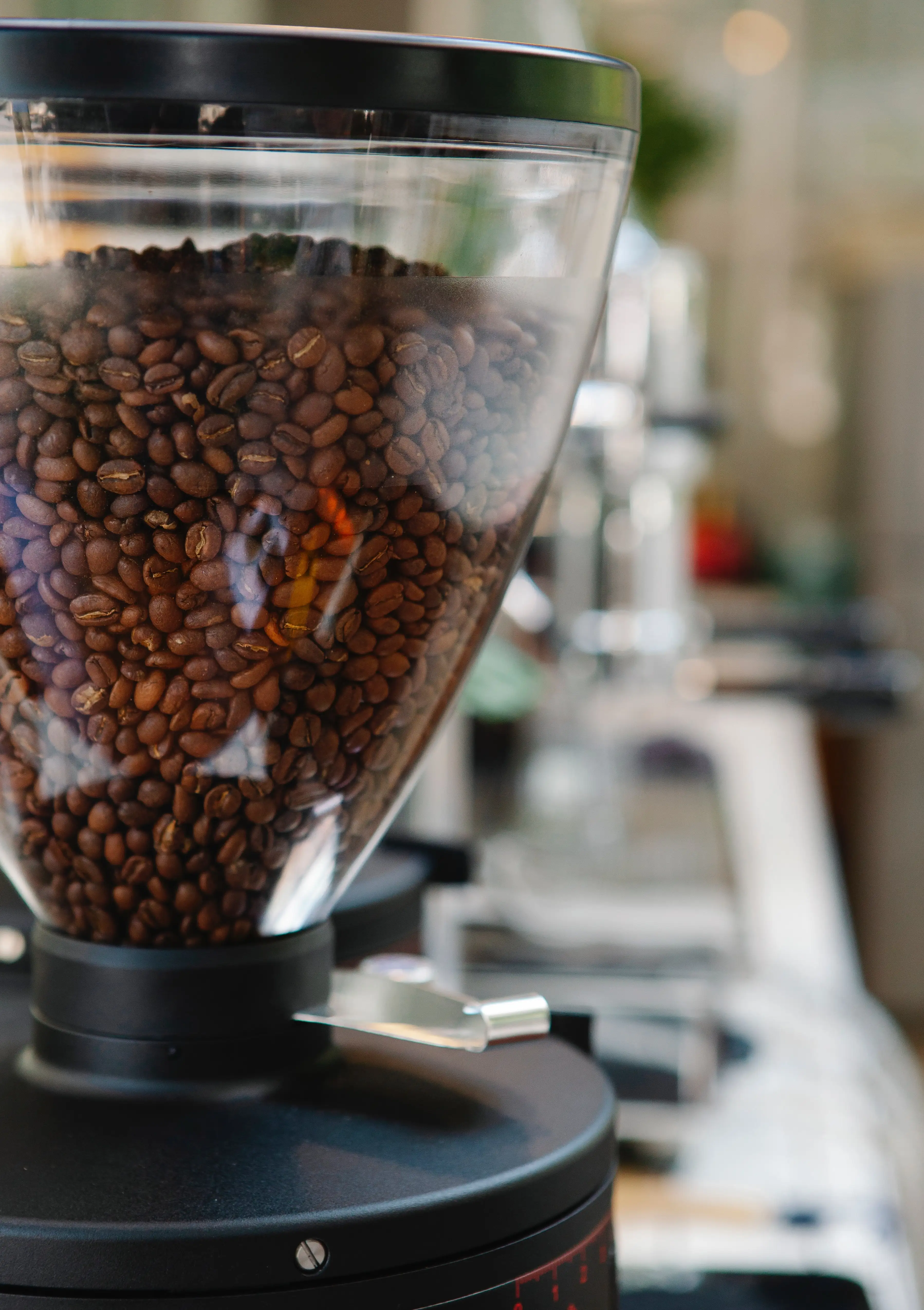 
New Products Clear Roasting Delicate Sweet Taste Decaffeinated Coffee Beans 