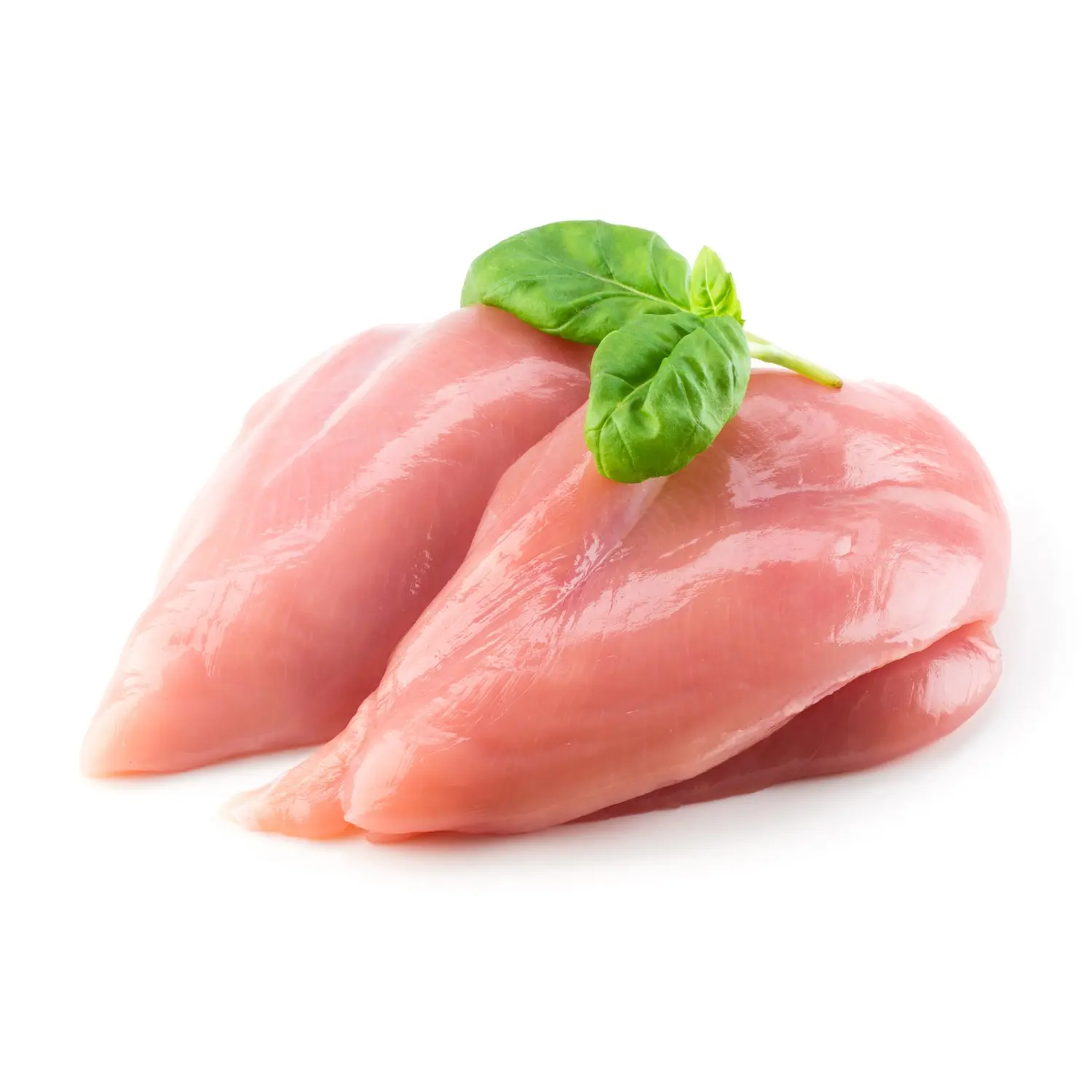 Import Frozen Chicken certified Halal Chicken Breast