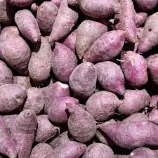  Лучший продукт на экспорт // японский сладкий картофель мед YAM из Вьетнама для оптовой продажи только $1/ Ms Sofia + 84 789946878