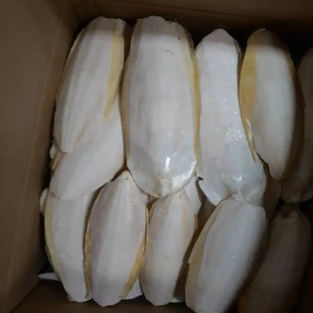 Frozen Cuttlefish Indonesia High Quality Austria