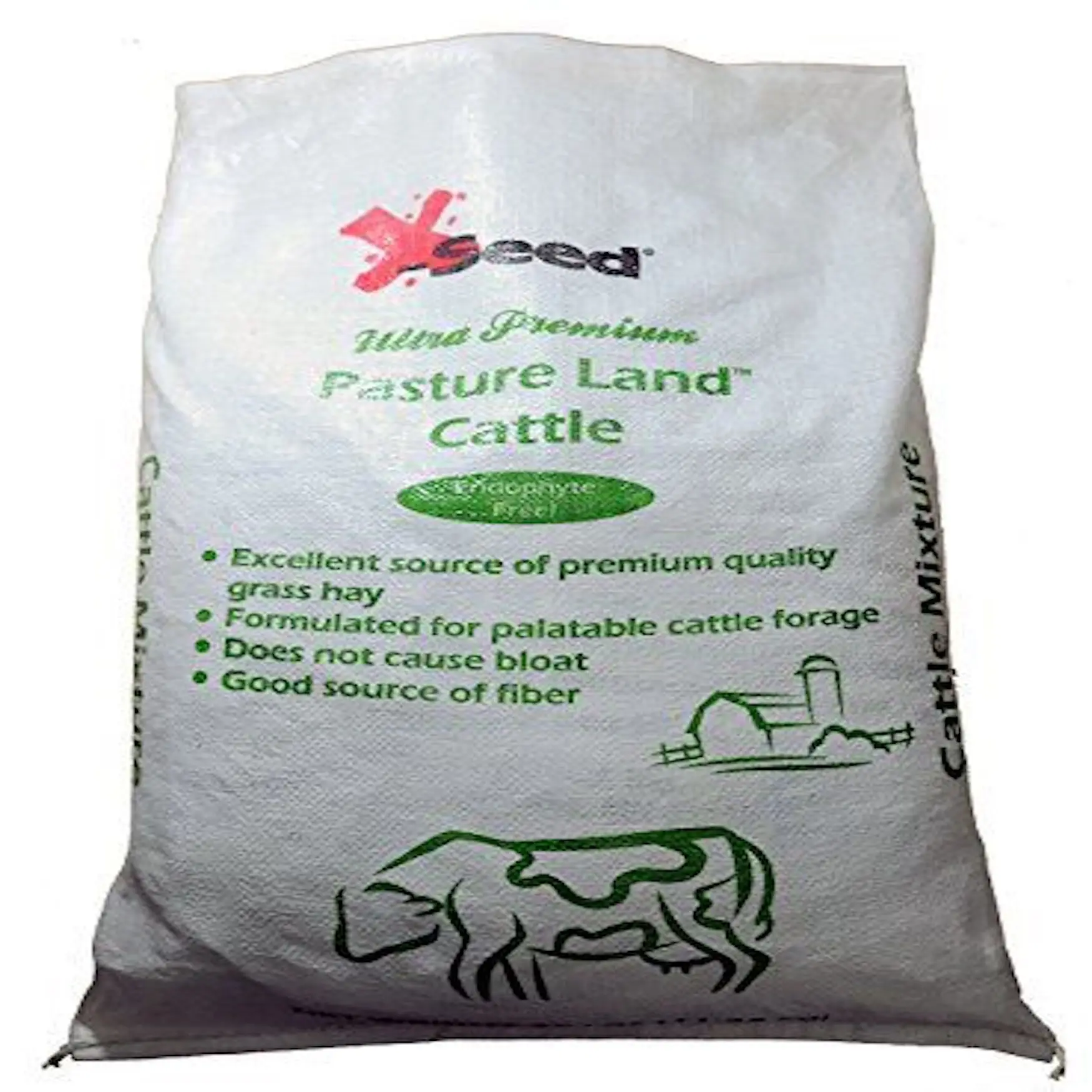 Quality Forage Grass Seed