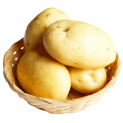 2021 Popular Vegetable 100% Organic Fresh Potato Export Wholesale Price