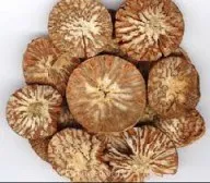 BETEL NUTS - Whole/ Split Betel Nuts Cheapest Price Top Quality Manufacturer From Vietnam In Bulk Supply| TERESA +84971482716
