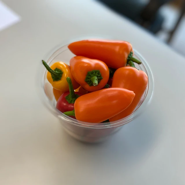  [Made in Korea] GAP KOREAN Snack Paprika Small Size Red Yellow Orange Chocolate Bell Pepper Juicy Taste