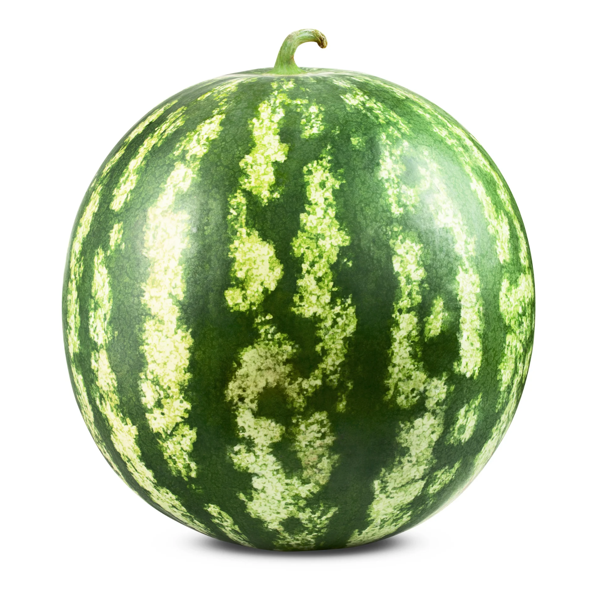 Watermelons - High quality
