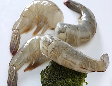 High quality Raw Vannamei Shrimp HLSO, Headless, Shell On Wholesale Frozen Seafood made in Vietnam Shrimp ready to ship, export