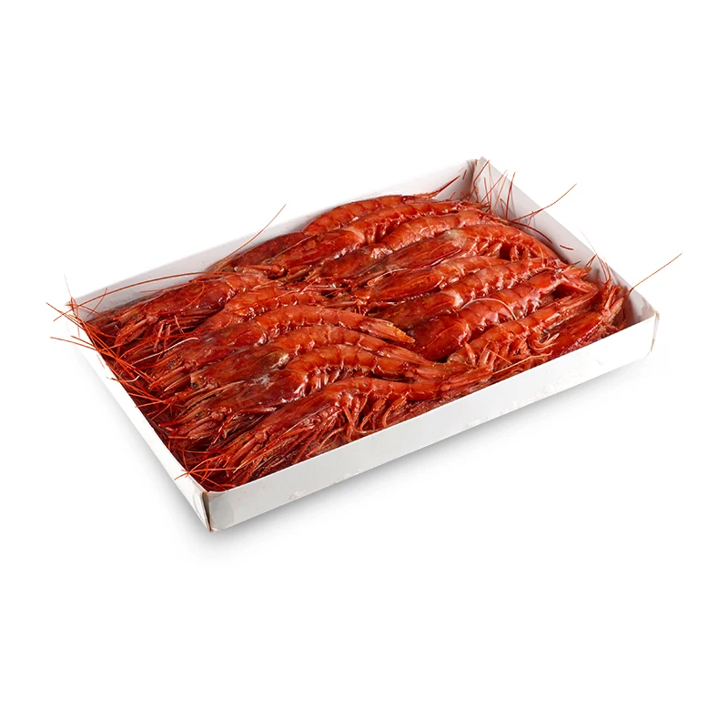 Red Shrimp
