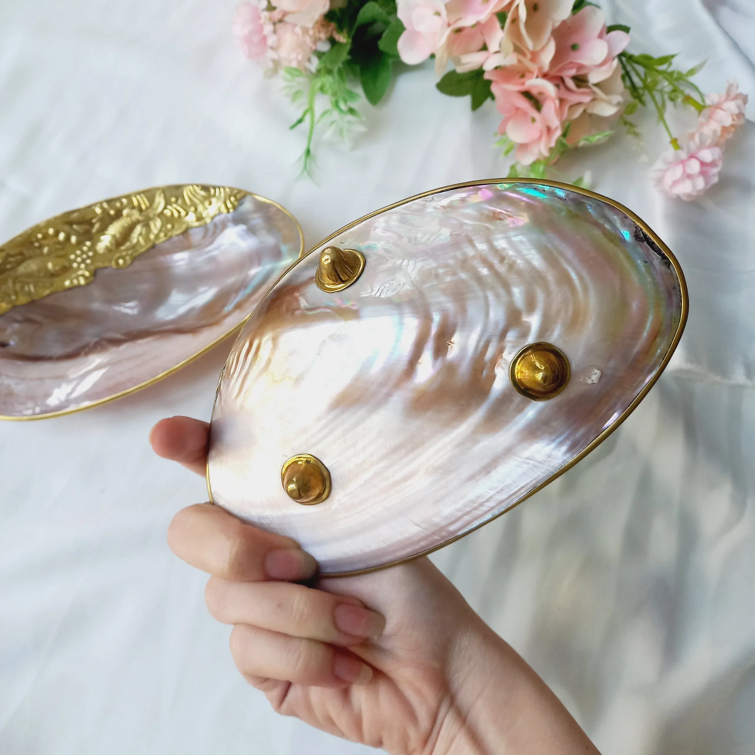 Caviar Shell Plate Natural Shell Coastal Beach House Table Decor Caviar Dish Seashell Mother of Pearl From Vietnam