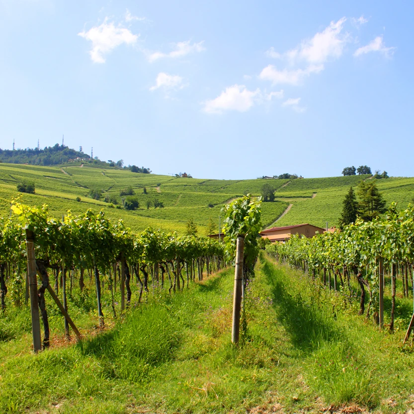 Премиум-качество сделано в италии Intense Batasiolo Barolo DOCG 75cl 6 бутылок x картонная коробка готов