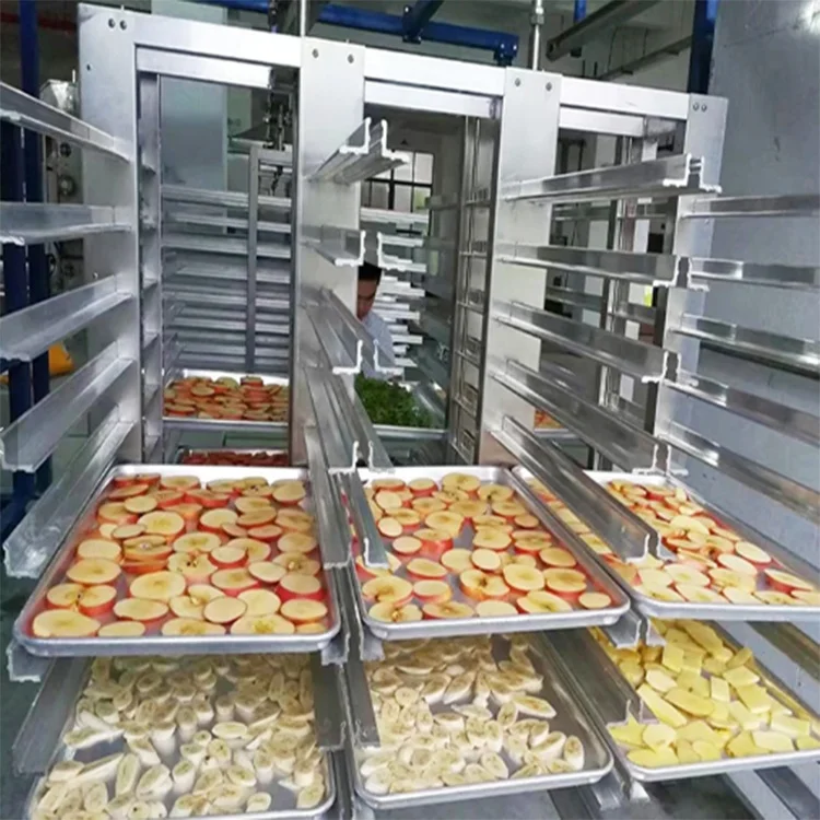  Вакуумная сушильная машина для фруктов и овощей 1000 кг