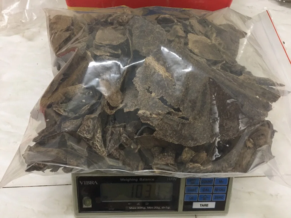 JUNGLE PURE OUD TRIPLE S QUALITY JAR FROM KHANH HOA - STRONG SWEET SMELL - HIGH QUALITY PRODUCT