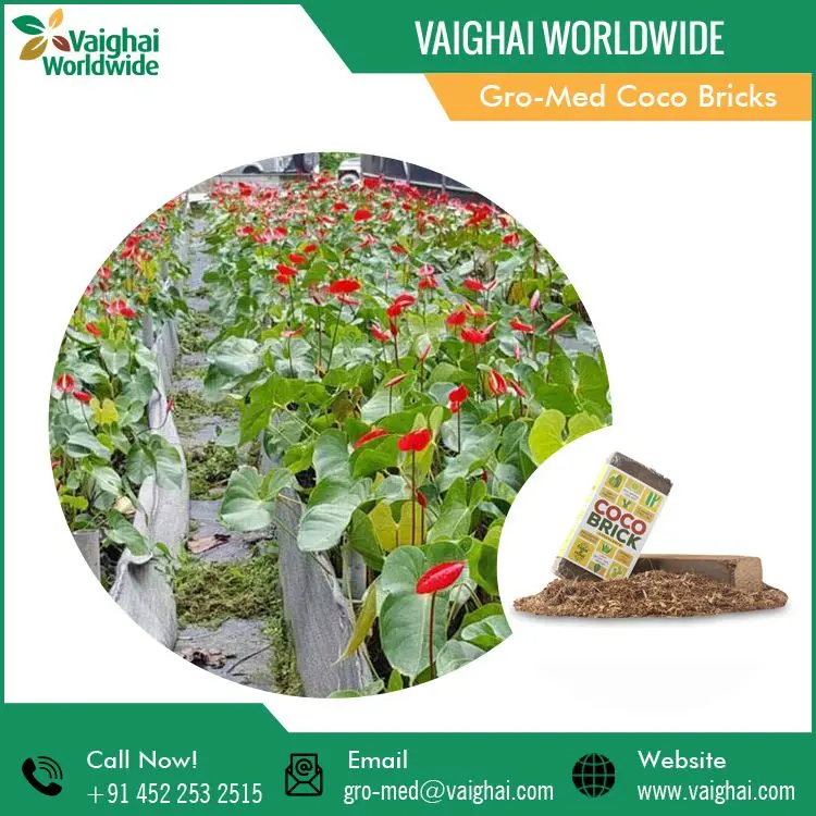100% Natural Eco Friendly Bulk Coco Bricks Coir Peat from Reputed Seller