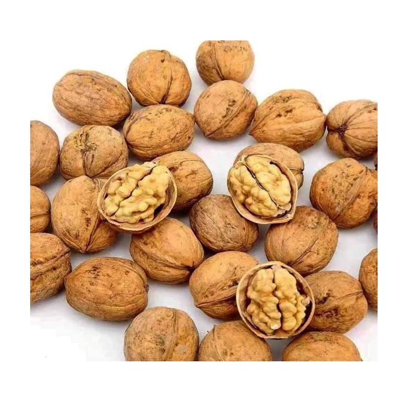 Excellent quality Thin-skin Raw Walnut with shell in bulk for sale