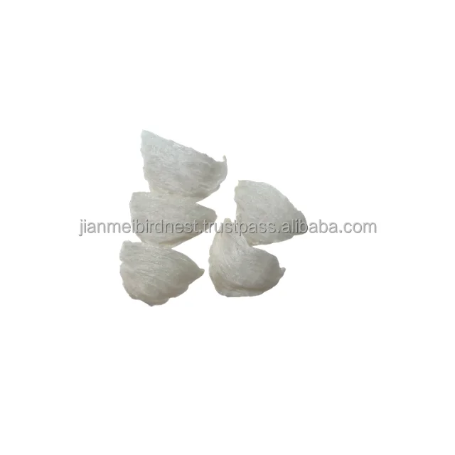 
Other Medical Consumables production swallow real swallow bird nest from farmers Weight 500grm 