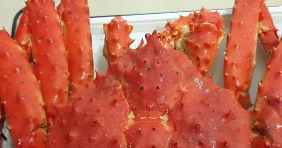 FROZEN RED SPINY KING CRAB, ALASKA KING CRAB FOR SALE