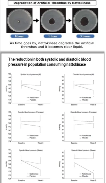 Potent Safe Natural Antithrombotic Agent-Nattokinase 2000 for Coronary Heart Disease Prevention With No Side Effects
