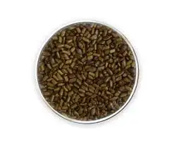 Wholesale cassia seed, lotus leaf cassia seed tea, can be used as cassia seed extract