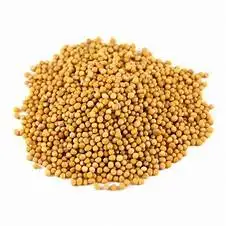 sorghum flour for sale red sorghum white sorghum kernel flour for sale
