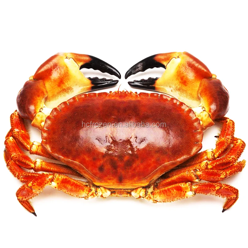 Fresh/Frozen/Live Red King Crabs, Dungeness Crab, Blue Crabs & Snow Crabs