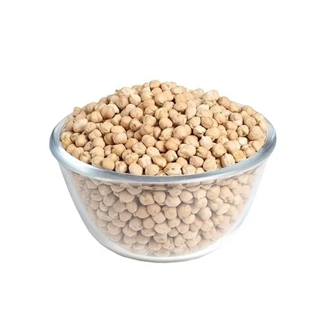 Bulk Quantity Of Raw Dried Chickpeas Available Here At Best Prices