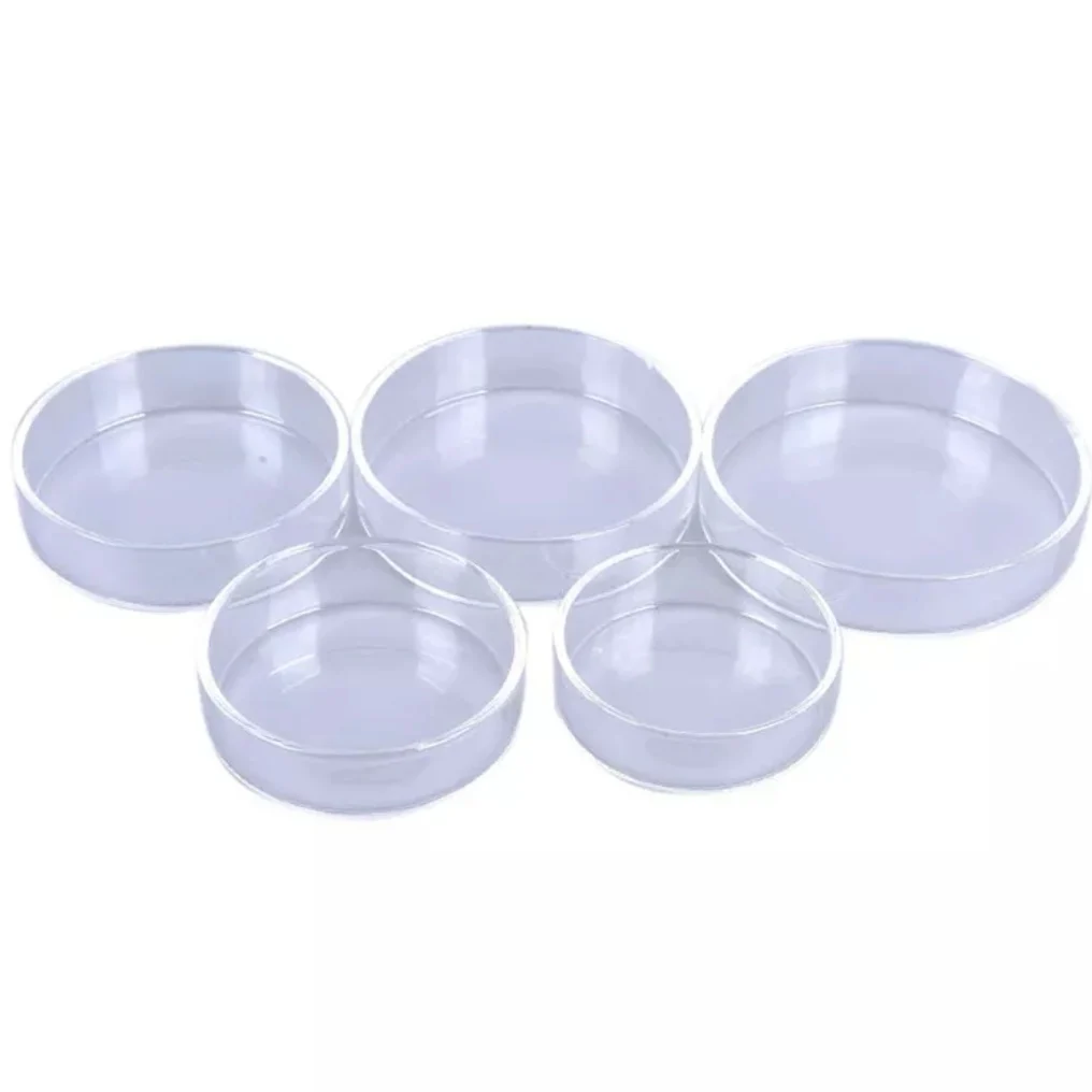 Aquarium Shrimp Feeding Dish Clear Glass Feeder Cup Fish Tank Feeding Food Tray Bowl for Shrimp Fish
