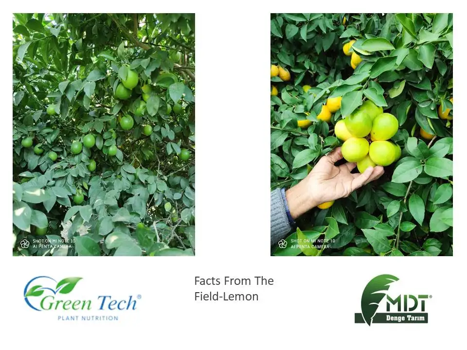 Green Tech Organo-Max - Liquid Fertilizer - Organic Liquid Fertilizer -Vegetable Origin Liquid Organic Fertilizer