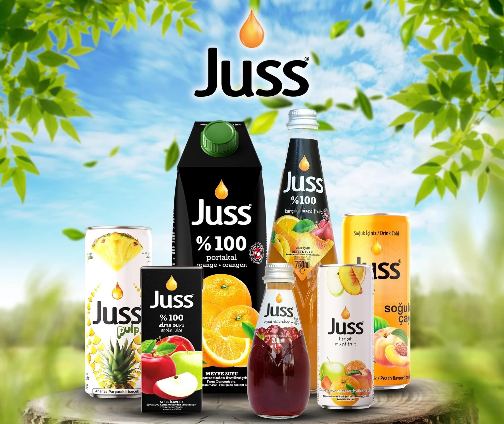 All Fruit Juices Made in Turkey - 200 - 250 - 330 - 750 - 1000 ml
