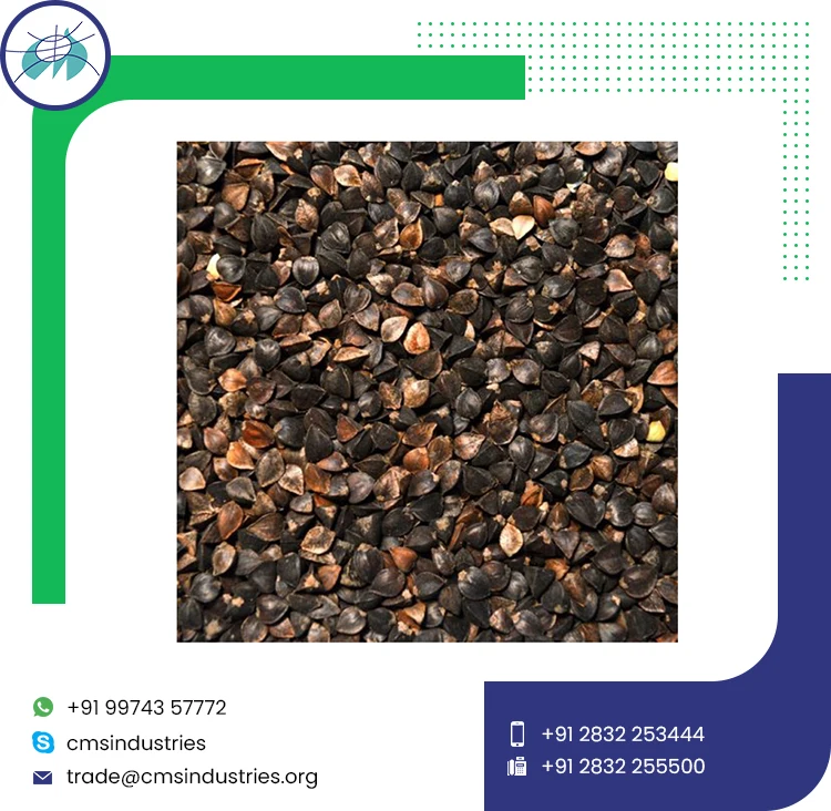  Очищенные Семена Гречихи