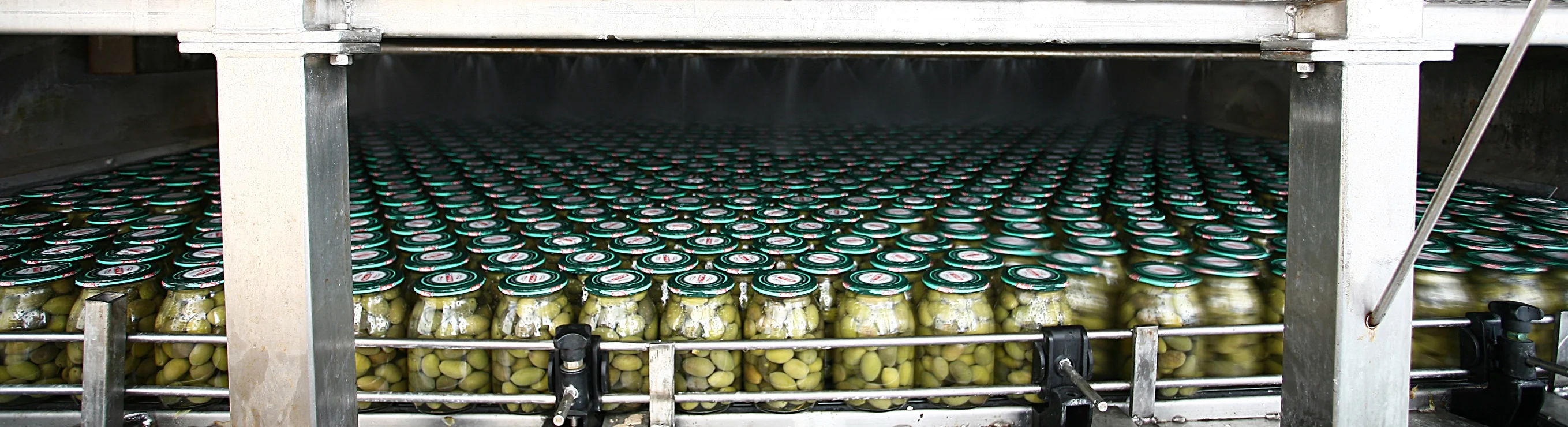 Preserved in Oil sundried tomatoes 190g made in Italy