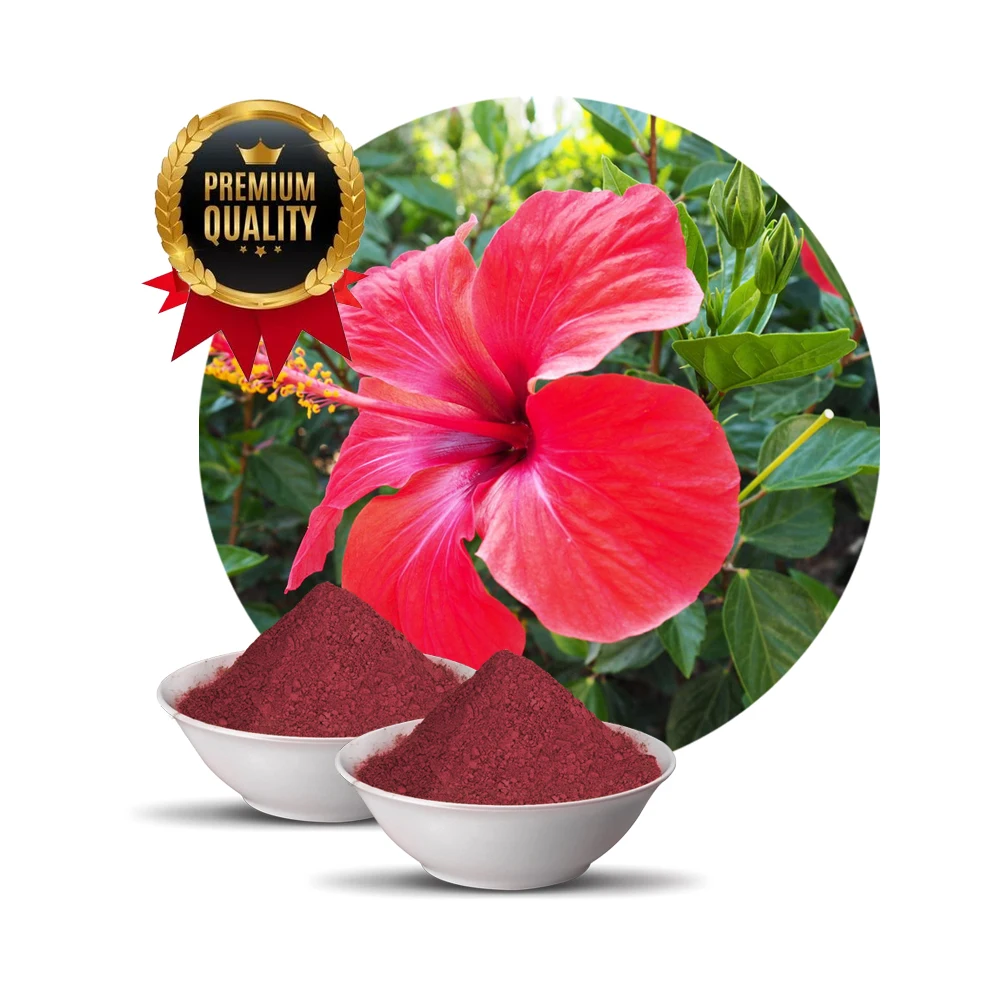 Hibiscus Powder 5