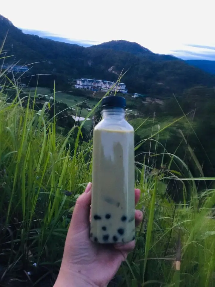 Хорошая цена жемчужный чай из пузырчатой пленки Tapioca Вьетнам