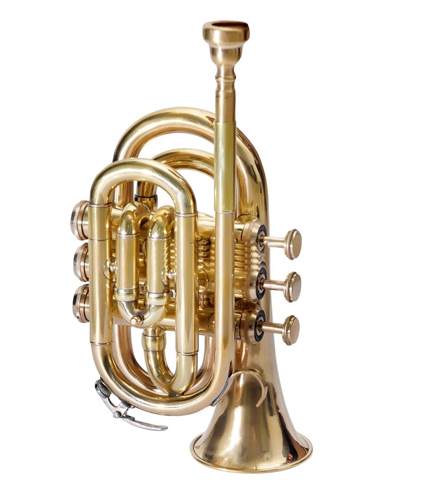 NASIR ALI NEW PROFESSIONAL BEAUTIFUL BB PITCH BRASS POCKET TRUMPET PREMIUM QUALITY WITH INCLUDE HARDCASE AND MOUTHPIECE