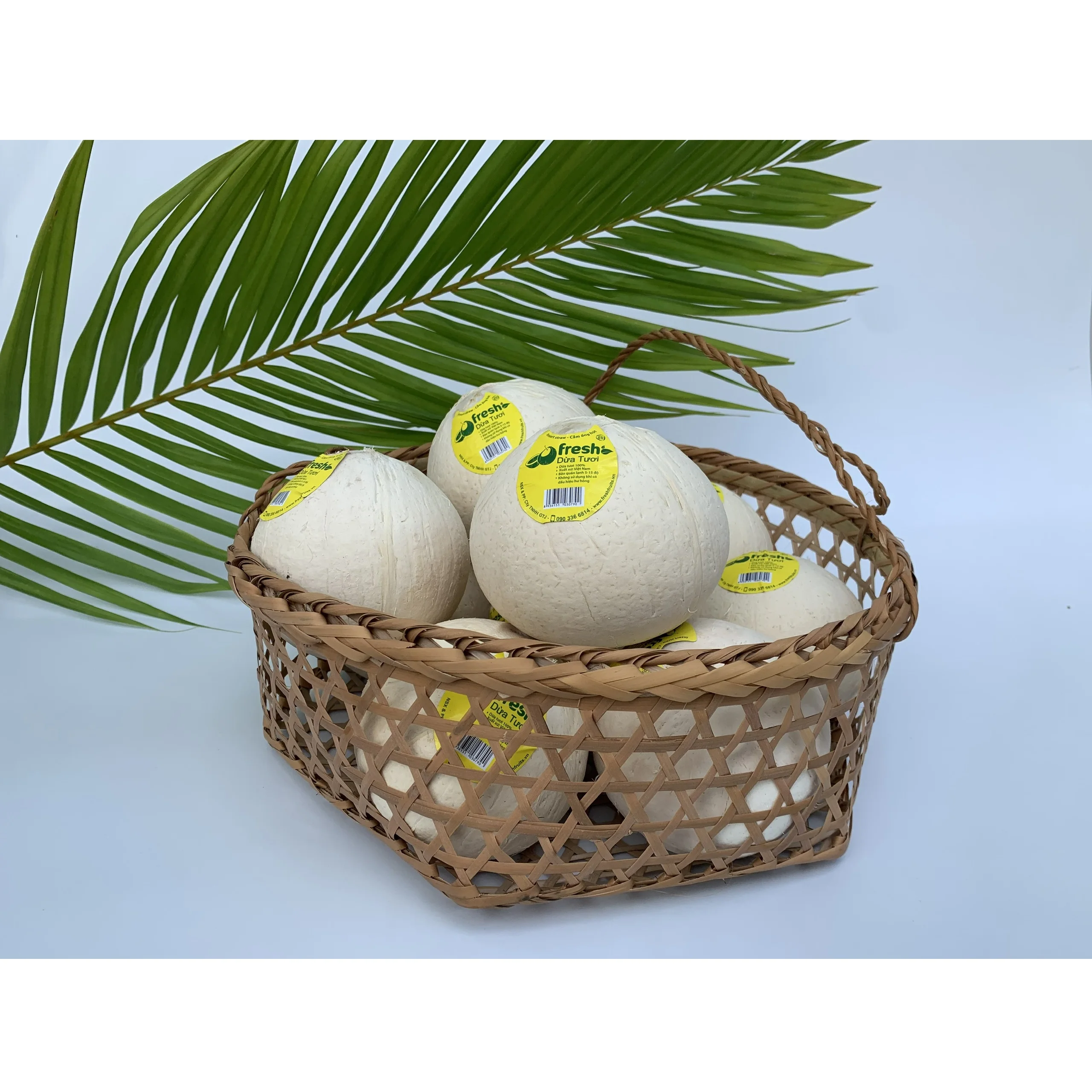 
Four Weeks Shell Life Pulp and shell Grade A Packing Young Coconut Fresh Convenient Coconut from Vietnam 
