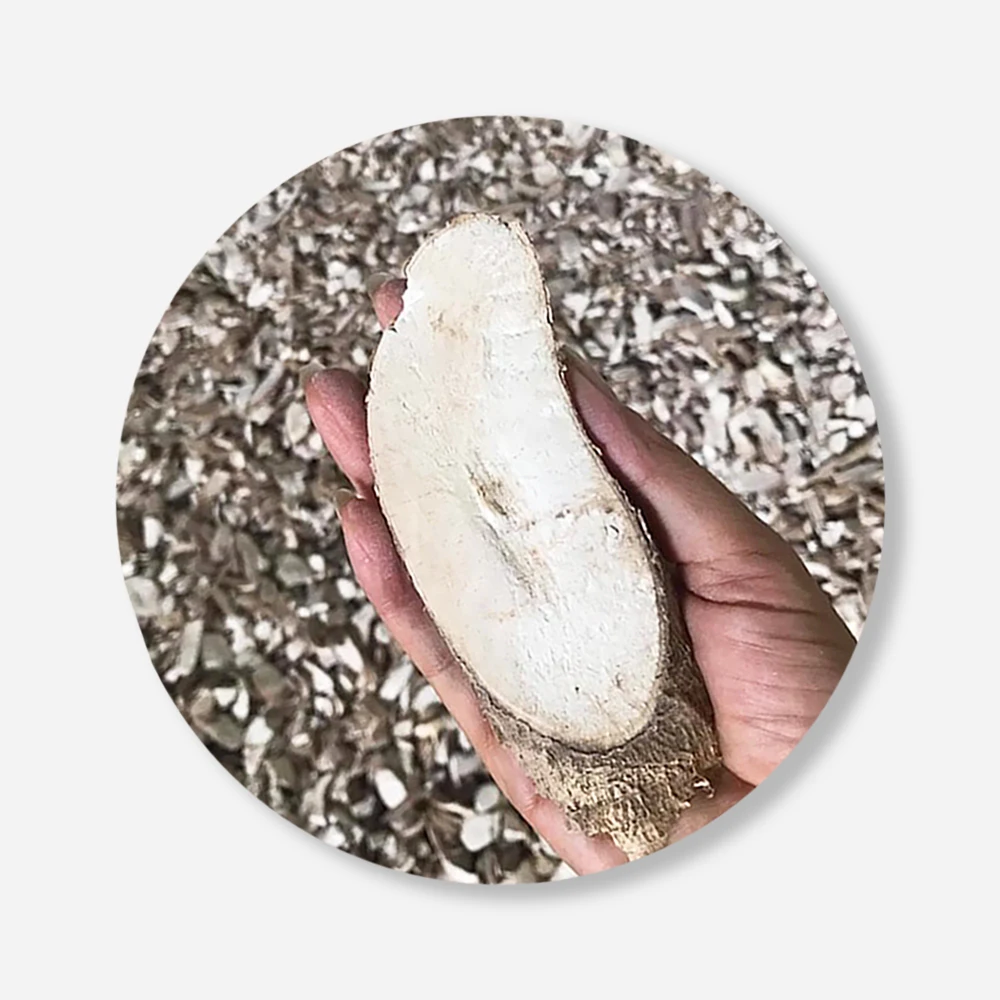 Best Seller Thai Dried Cassava Chips For Food Industry or Making Animal Feed and Ethanol