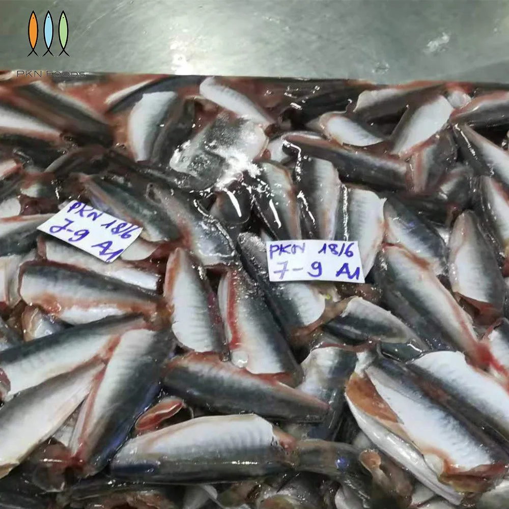 Vietnam Scad Fish BLOCK Frozen Seasonal Decapterus Maruadsi Round Scad HGT with 5-7cm 7-9cm 9-11cm Size