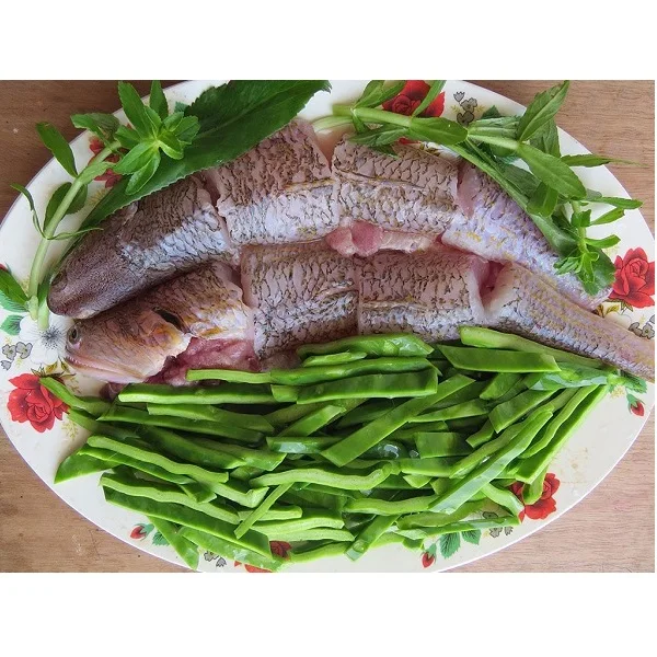 Best Price Natural Frozen Fresh Raw Fish Seafood Body Part Dried Lizard Fish With Air-Dried Processing From Vietnam