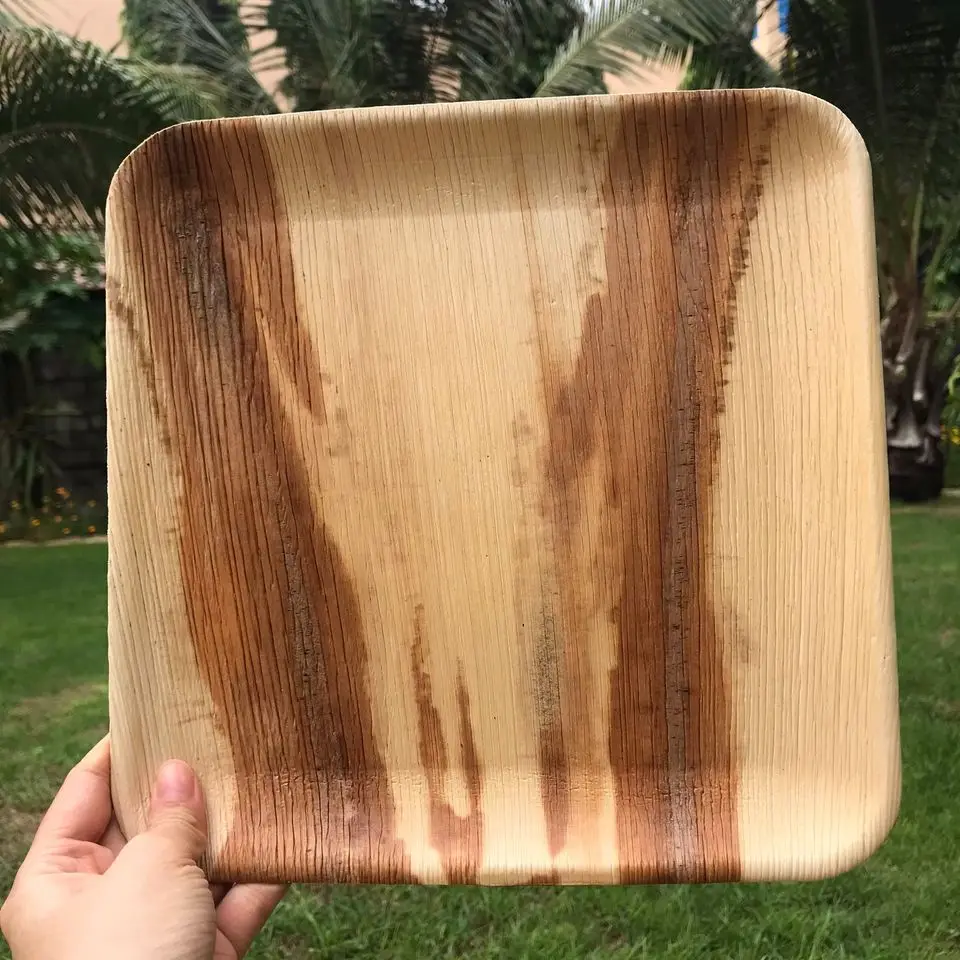 eco friendly 100% natural bio degradable organic areca palm leaf tray disposable plates and bowls made in Viet Nam