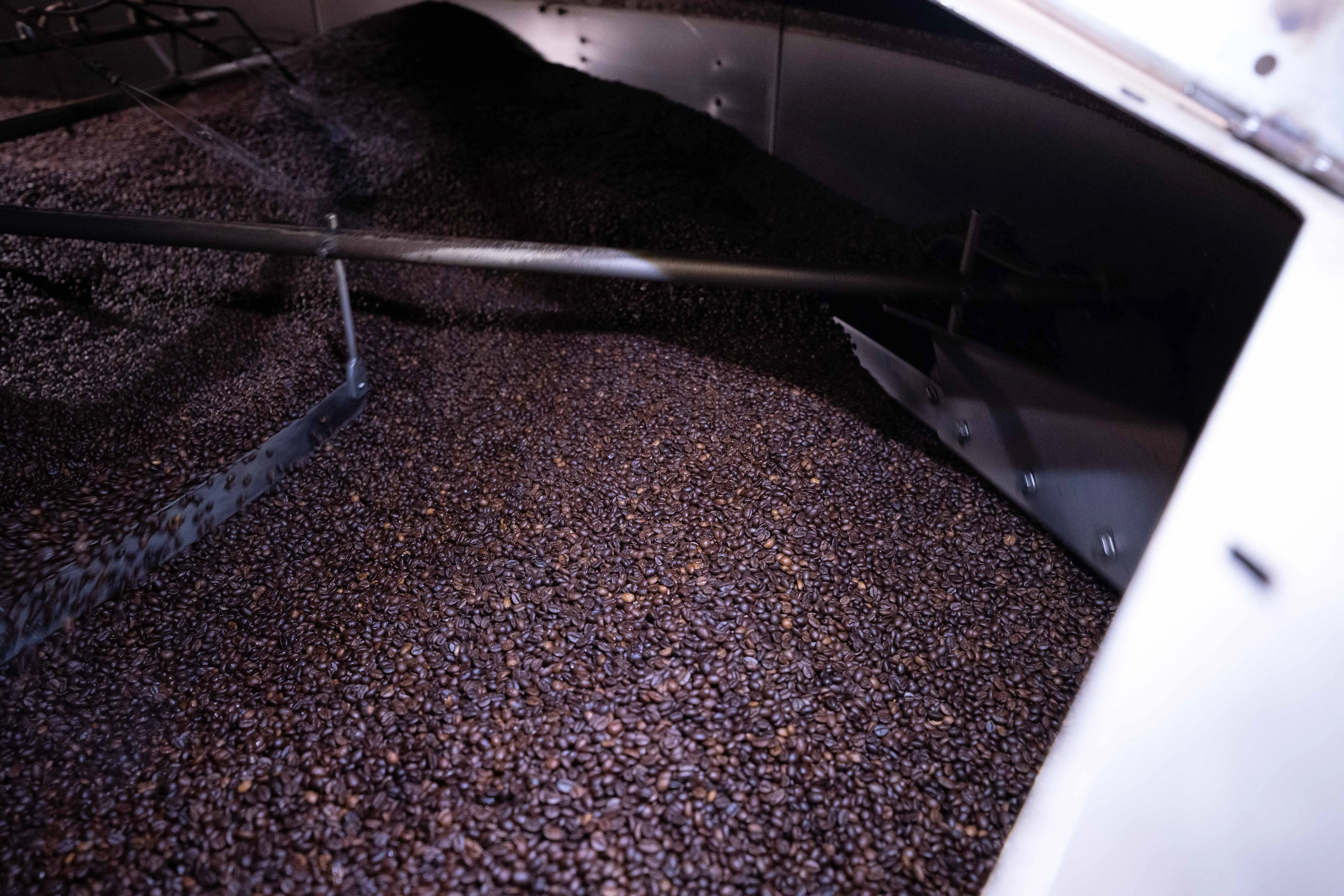 Top Quality SEGAFREDO INTERMEZZO 1KG WHOLE  COFFEE BEANS