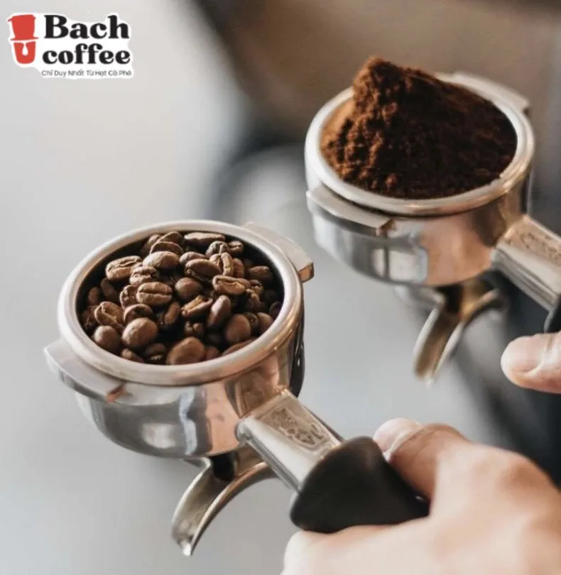  100% Peaberry Coffee Beans From Farm / Medium Roast Hand selected and Natural Sun Dried /Small Bach Direct Trade OEM